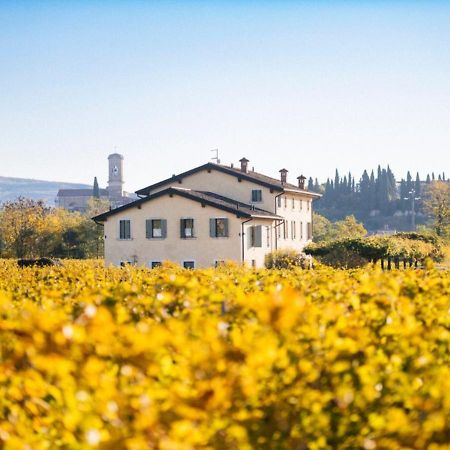 サン・ピエトロ・イン・カリアーノ Dimora Buglioni Wine Relaisヴィラ エクステリア 写真