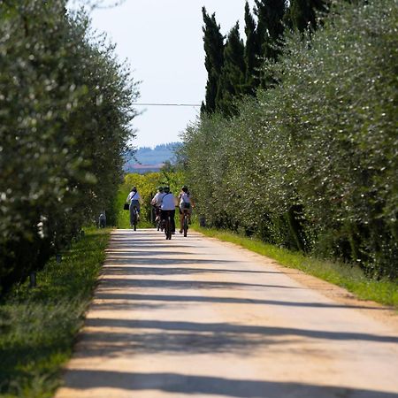 サン・ピエトロ・イン・カリアーノ Dimora Buglioni Wine Relaisヴィラ エクステリア 写真