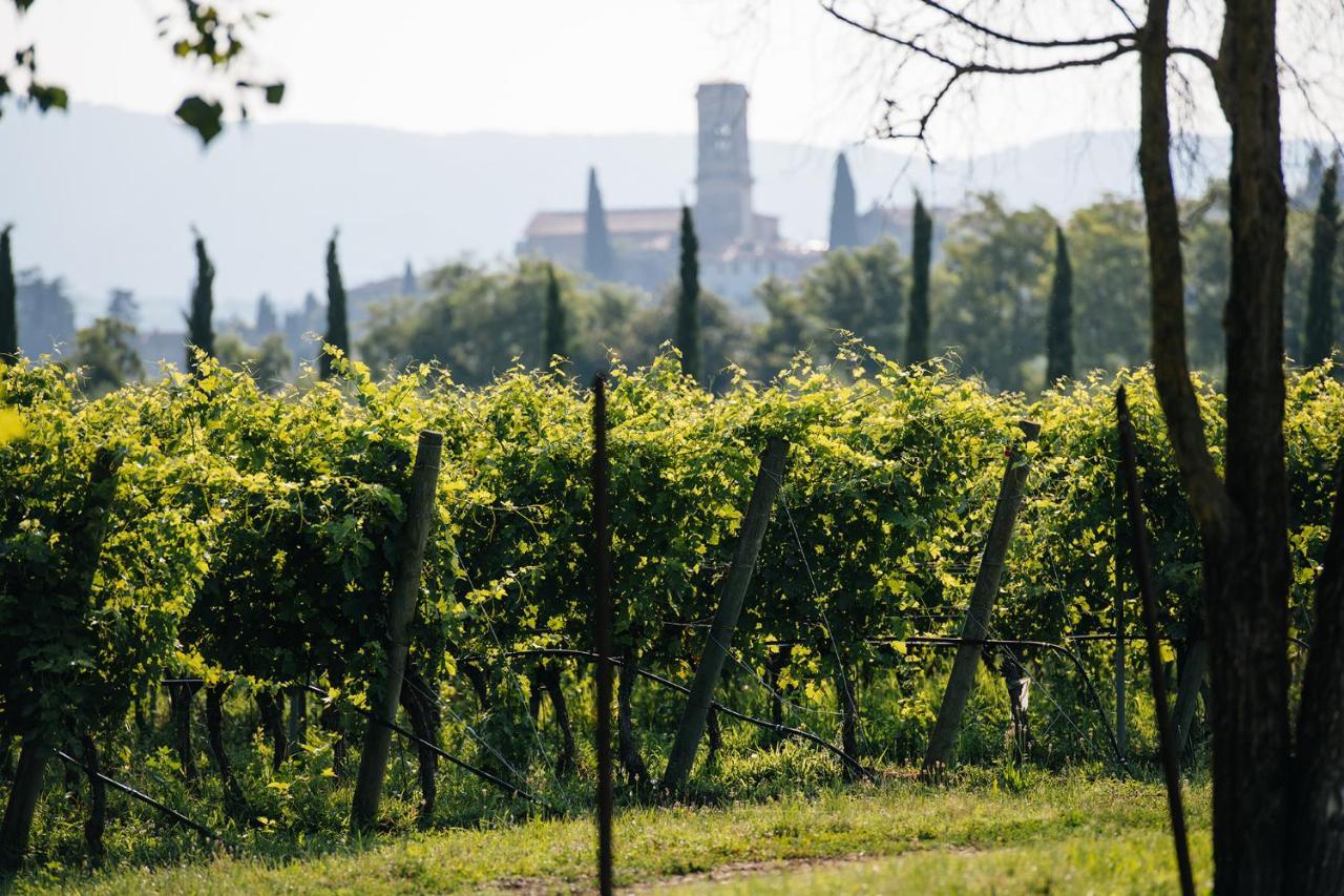 サン・ピエトロ・イン・カリアーノ Dimora Buglioni Wine Relaisヴィラ エクステリア 写真